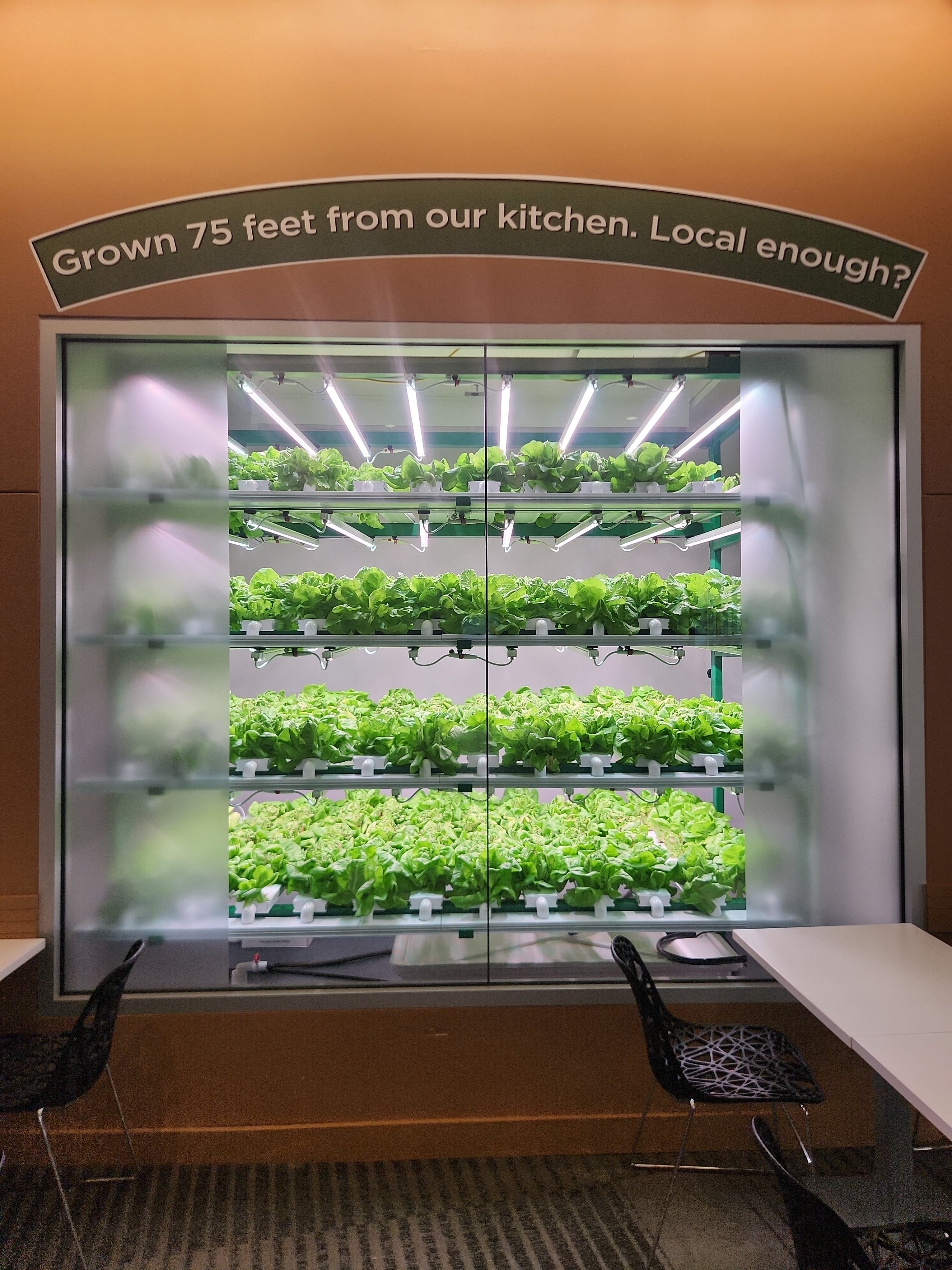 Revamp Your Indoor Growing Space
