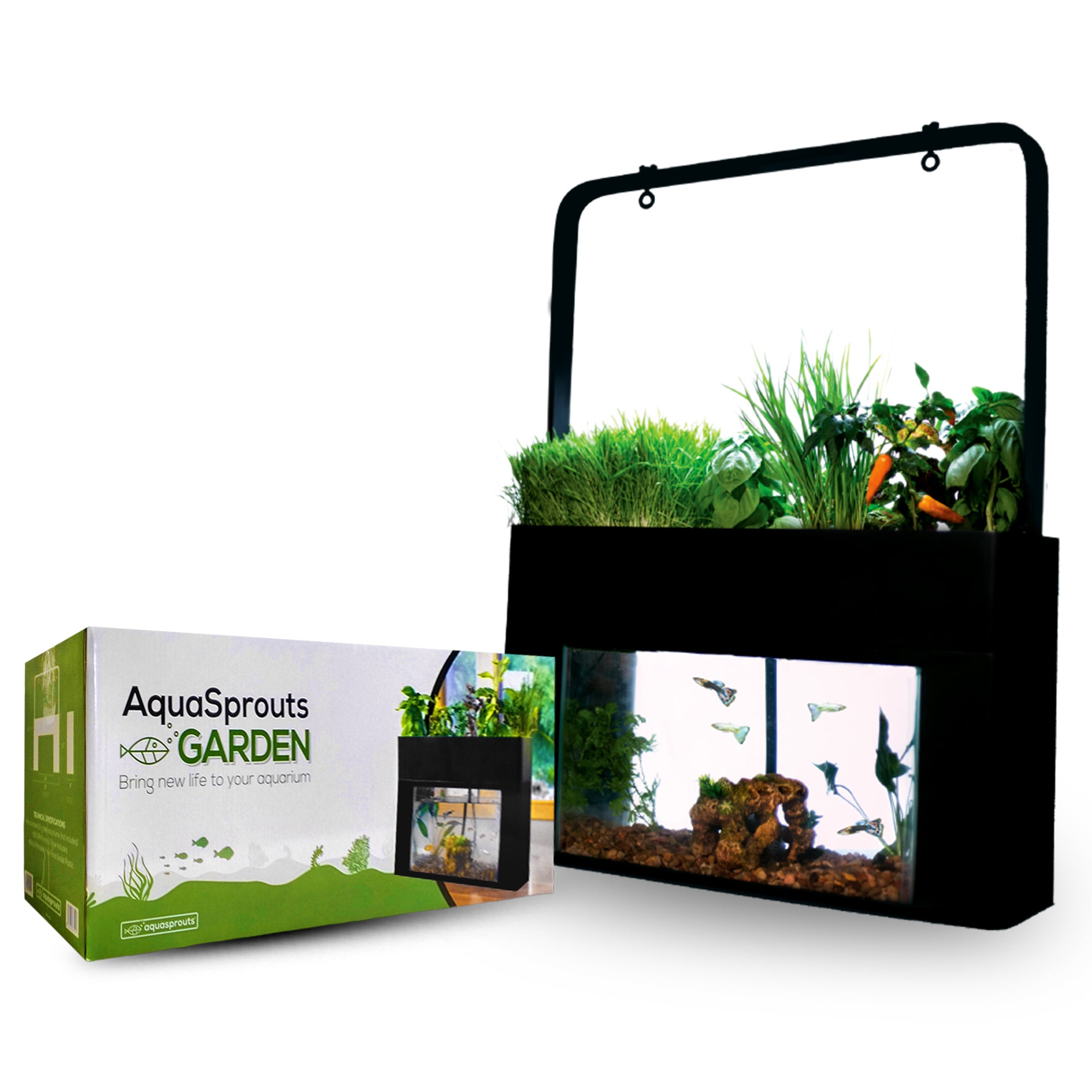 aqua box fish tank Penn-Plax AN2 Nursery and Hatchery Breeding for Your Aquarium gal glass tank combines filtration Waterbox Aquariums - Freshwater and