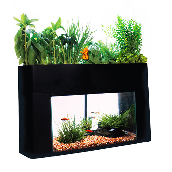 10 Gallon AquaSprouts Garden with Light