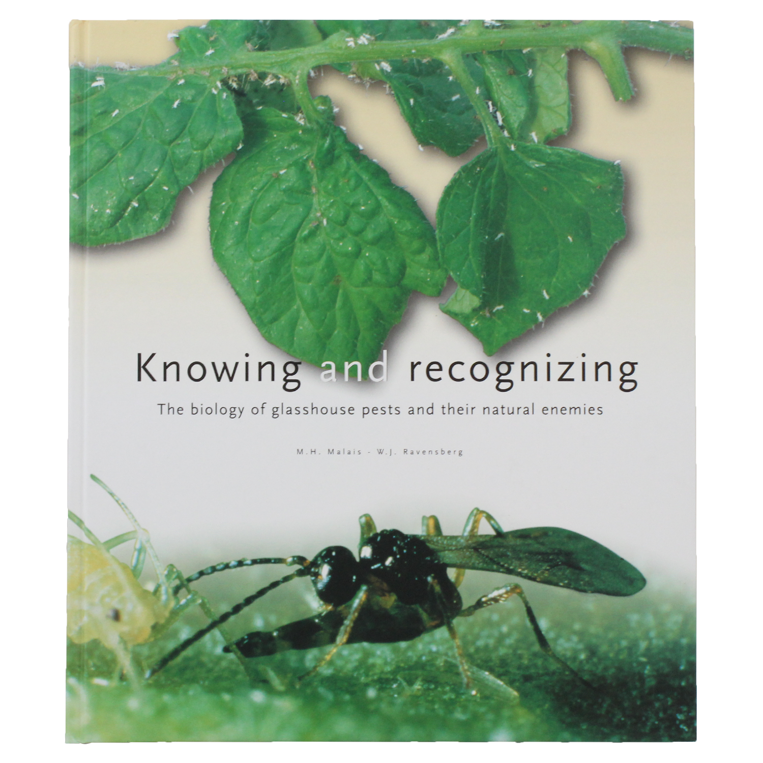 Knowing & Recognizing Pests and Natural Enemies