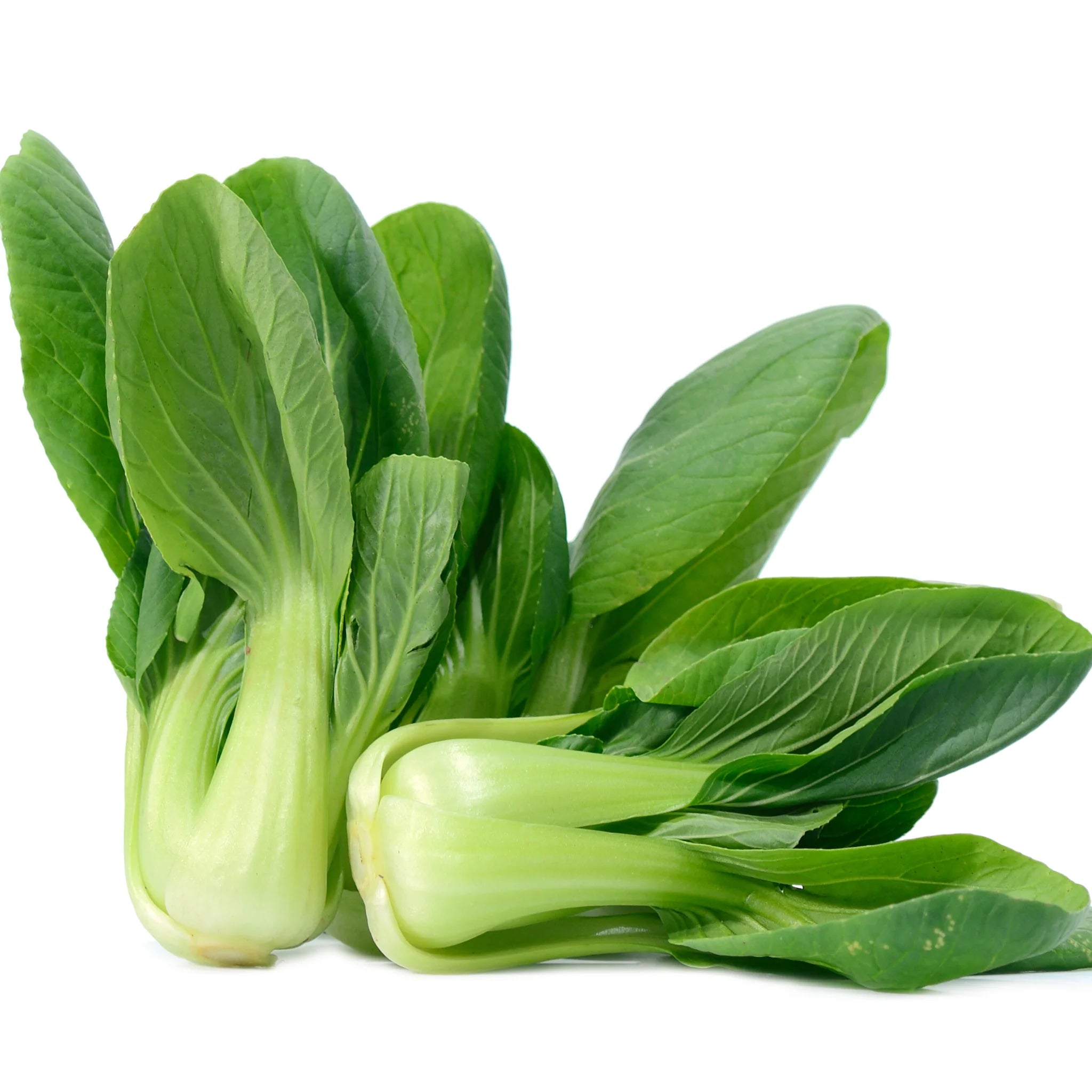 Global Brassicas Seed Bundle