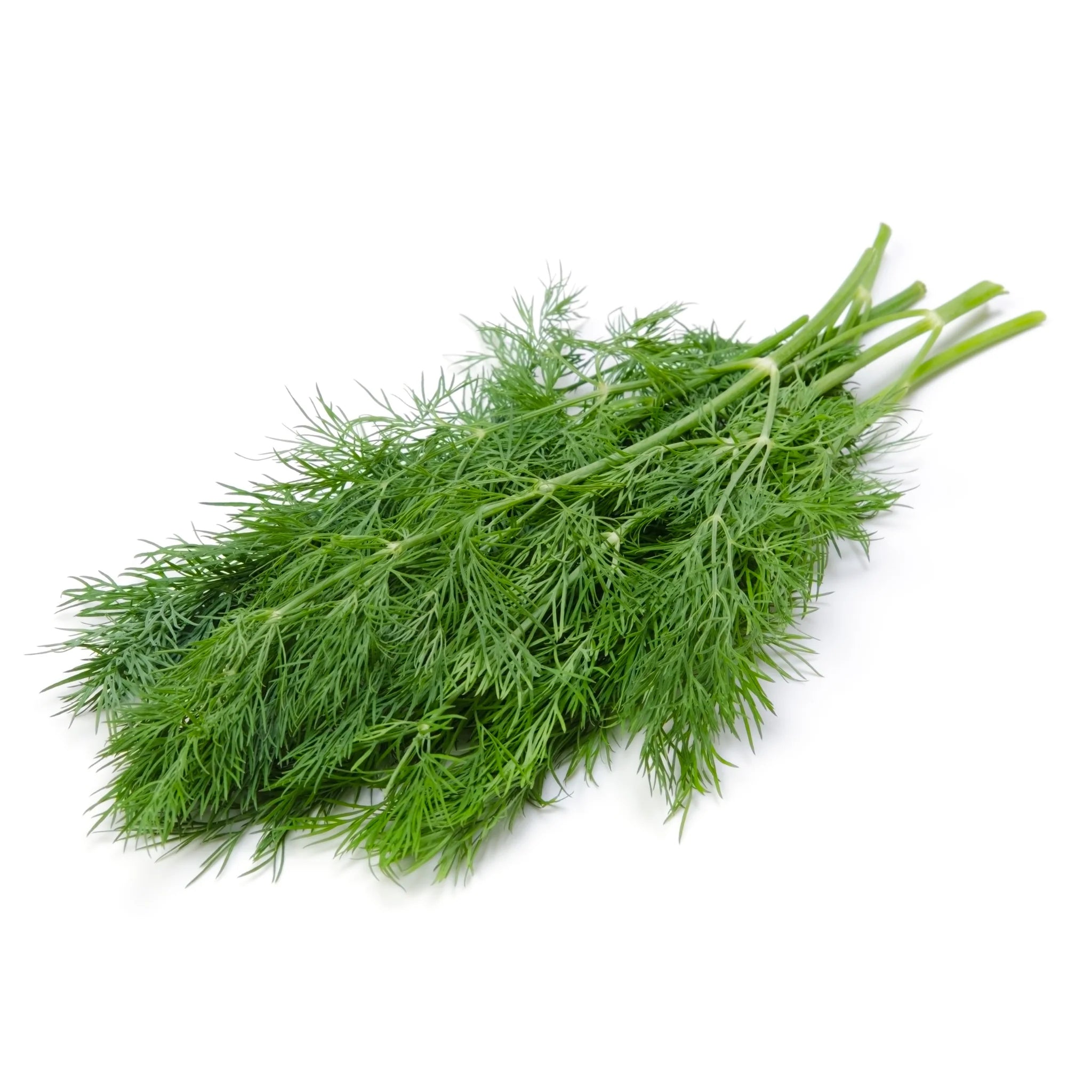 Classic Herb Seed Bundle - Fork Farms
