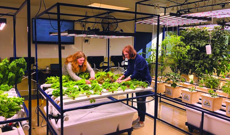 Hydroponics for Educators