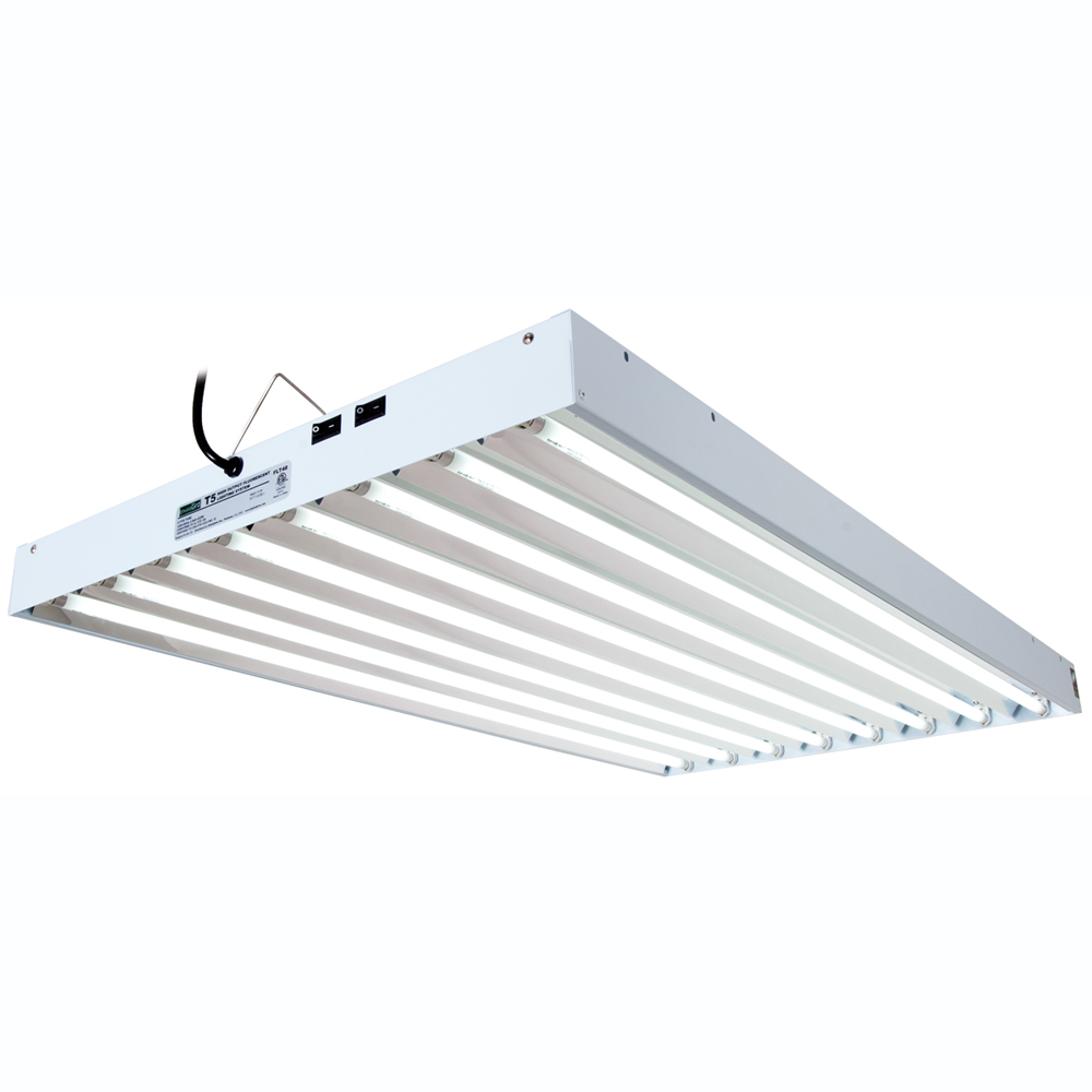 4ft 8 Bulb T5 Fluorescent