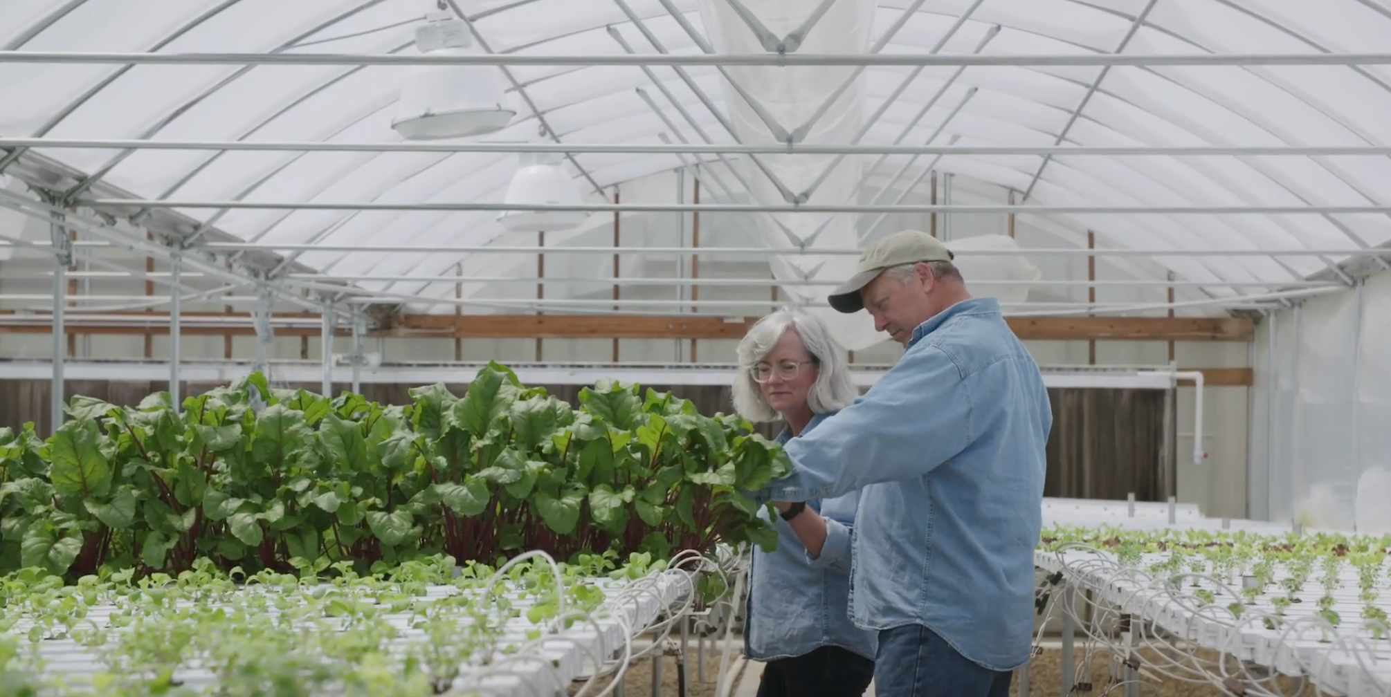 CropKing Business Plan