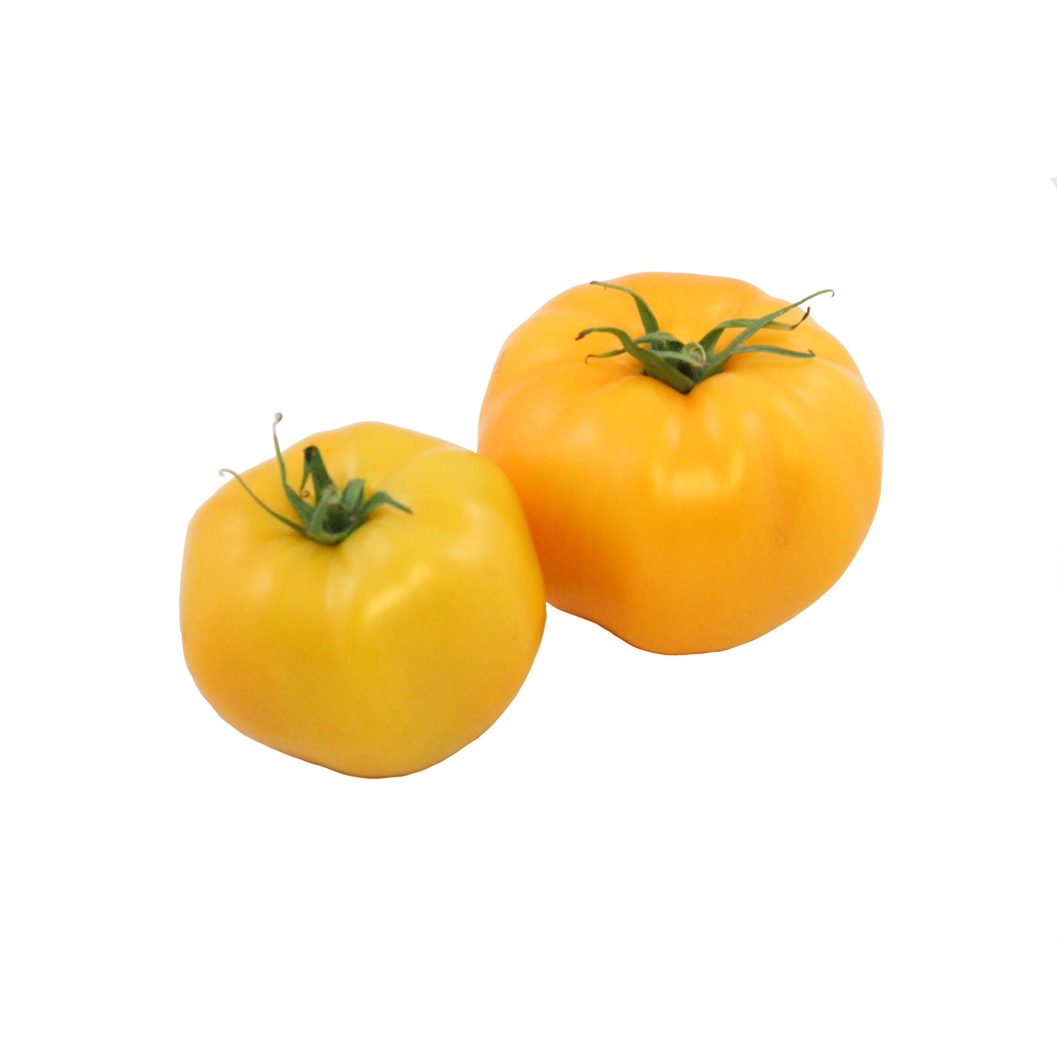 Beorange F1 Beefsteak Tomato Seeds