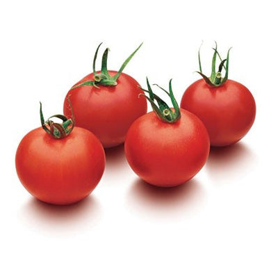 Favorita Cherry Tomato Seeds