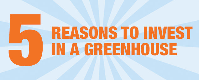 5 Reasons to Invest in a Greenhouse