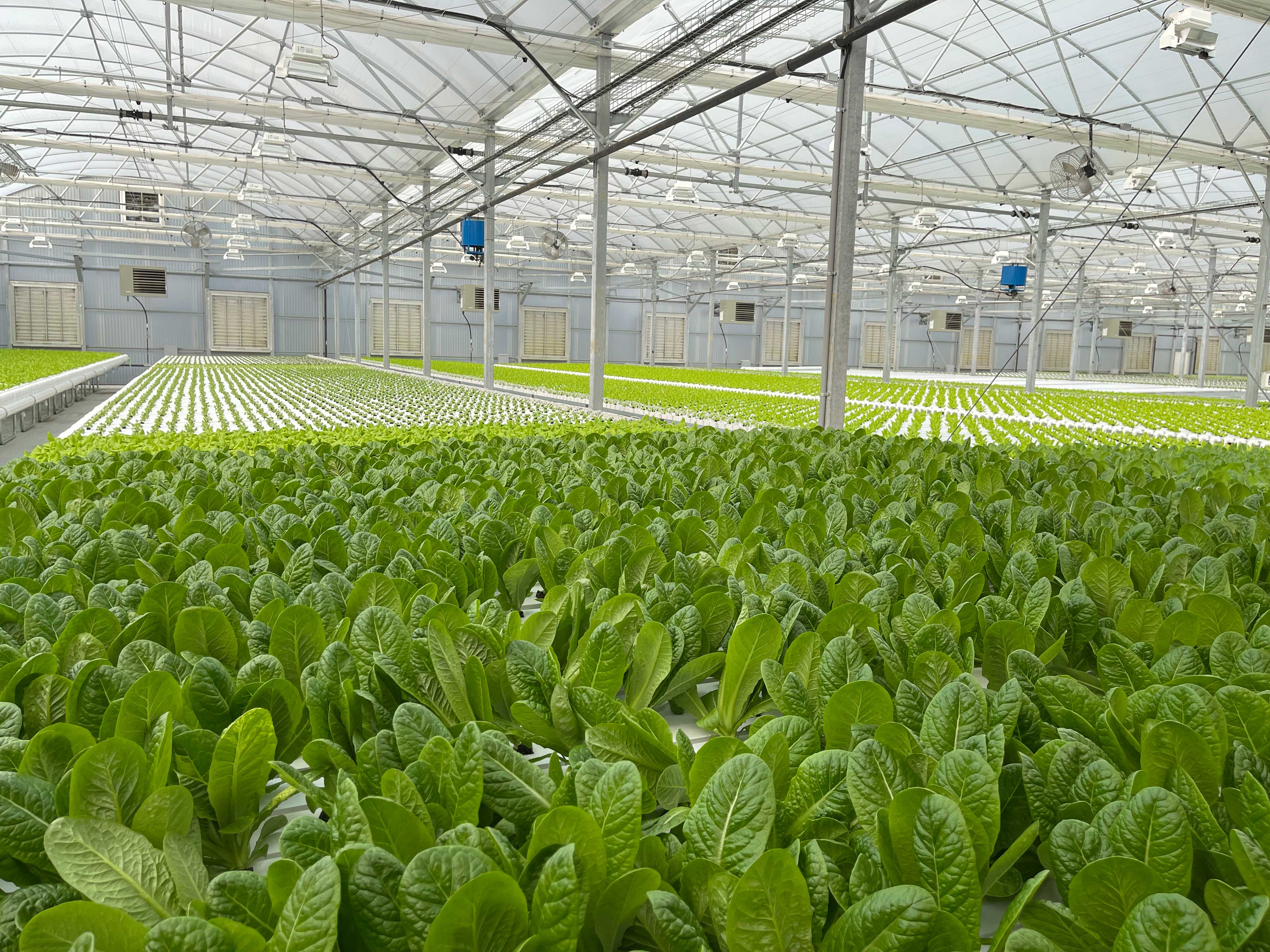 Commercial Sales Representative for Hydroponic Growing Systems and Greenhouse Packages