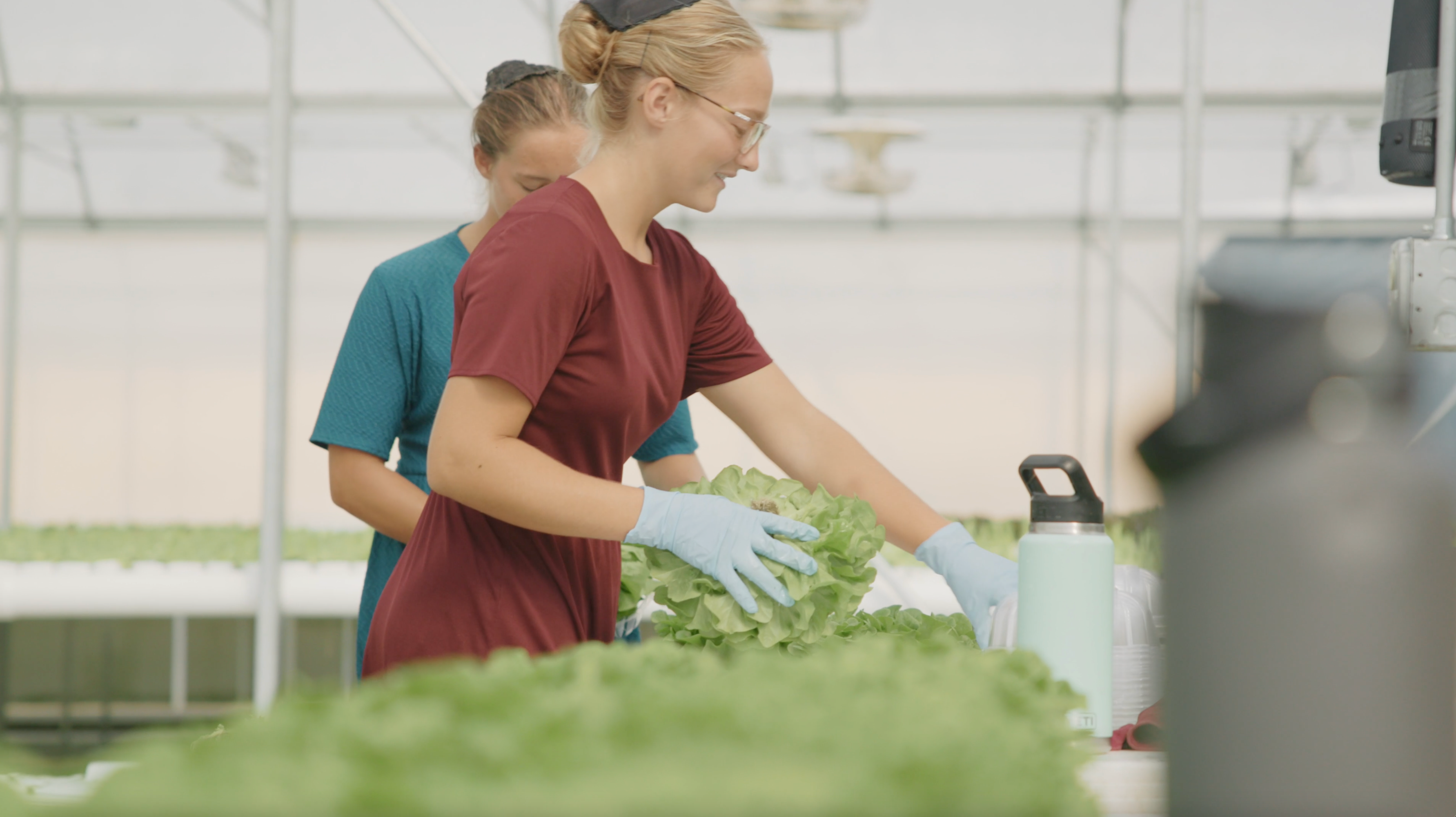 Locally Grown - Chef's Harvest Hydroponic Greenhouse