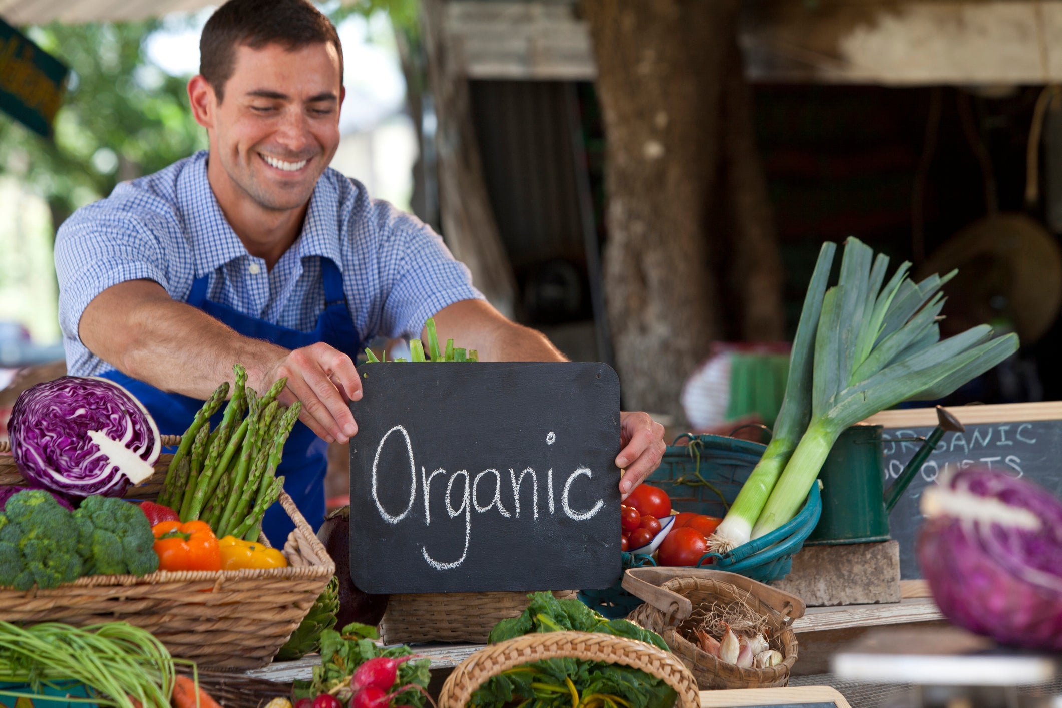 Organic Fertilizers in a Soilless Growing System