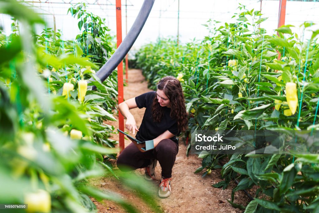 Preventing Disease in the Greenhouse Podcast