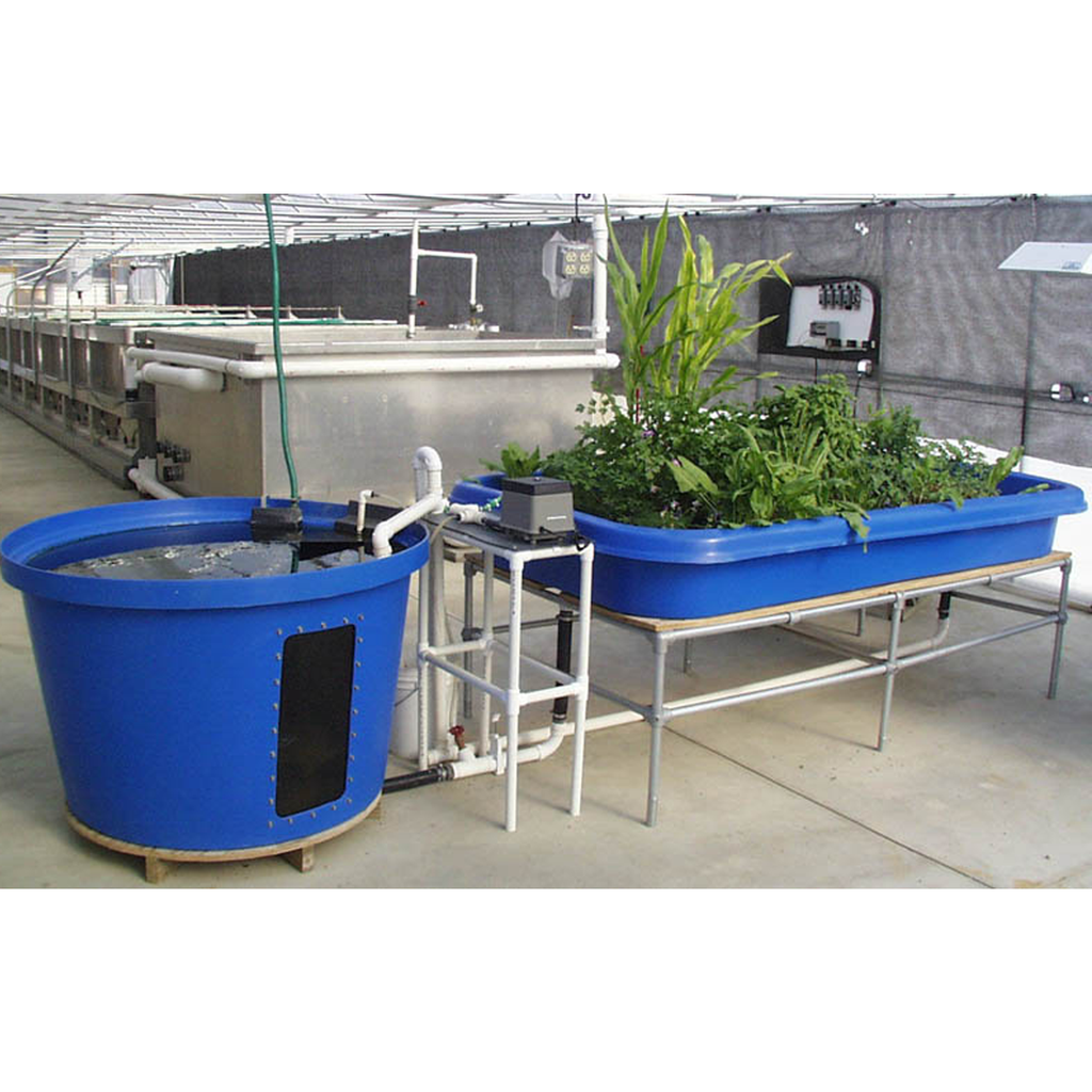 Aquaponic System – CropKing