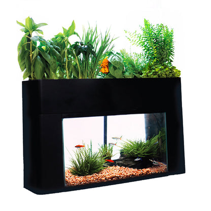 10 Gallon AquaSprouts Garden with Light