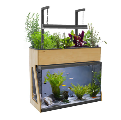 29 Gallon AquaSprouts Garden with Light