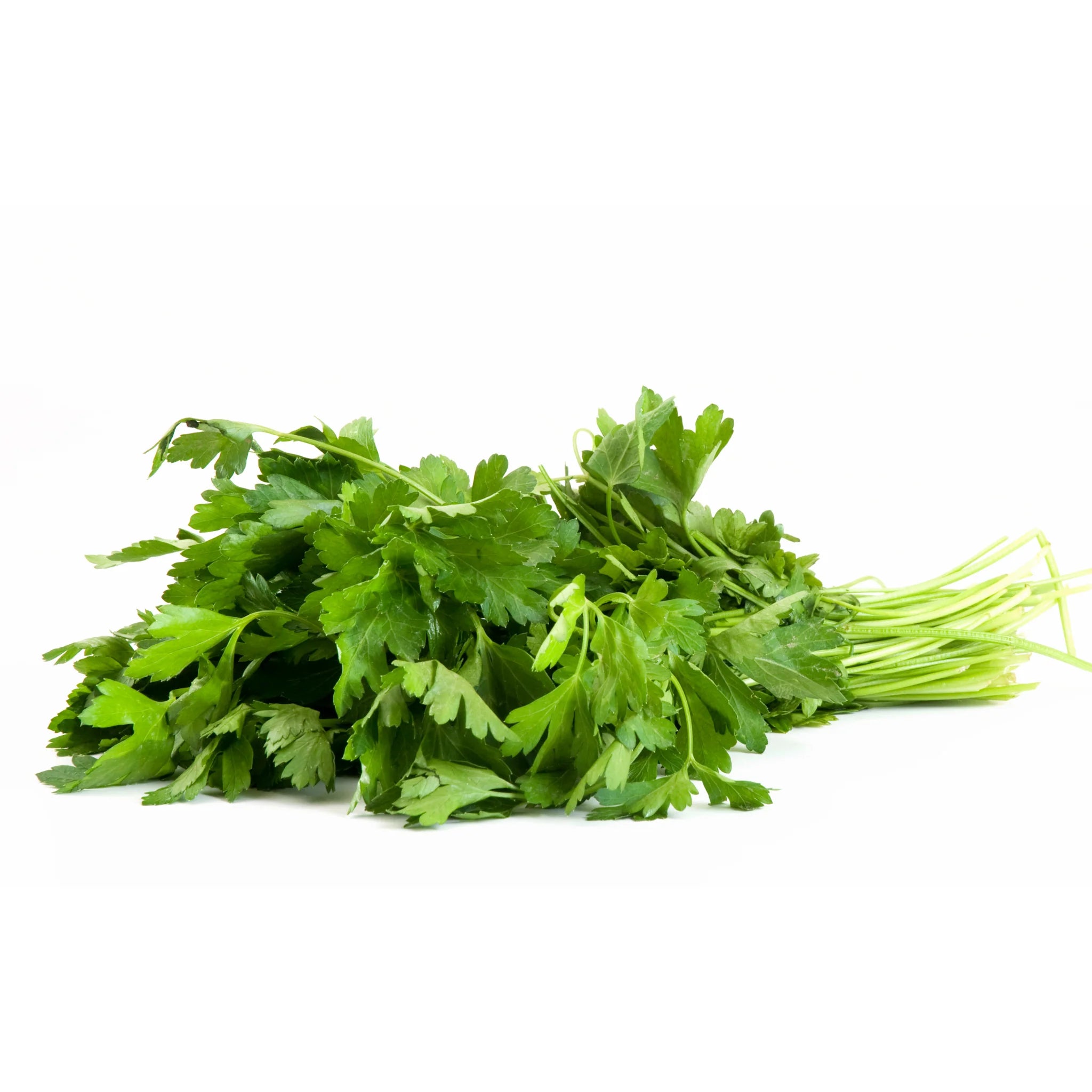 Classic Herb Seed Bundle - Fork Farms