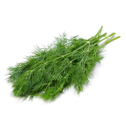 Classic Herb Seed Bundle - Fork Farms