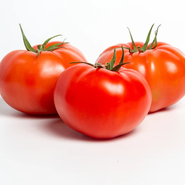 Ondero F1 Beefsteak Tomato Seeds