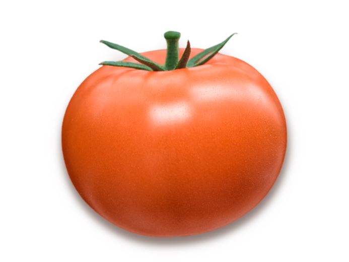 Novero Beefsteak Tomato Seeds