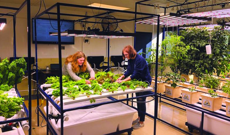 2025 Hydroponics for Educators