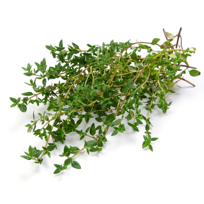 Warm Herb Seed Bundle