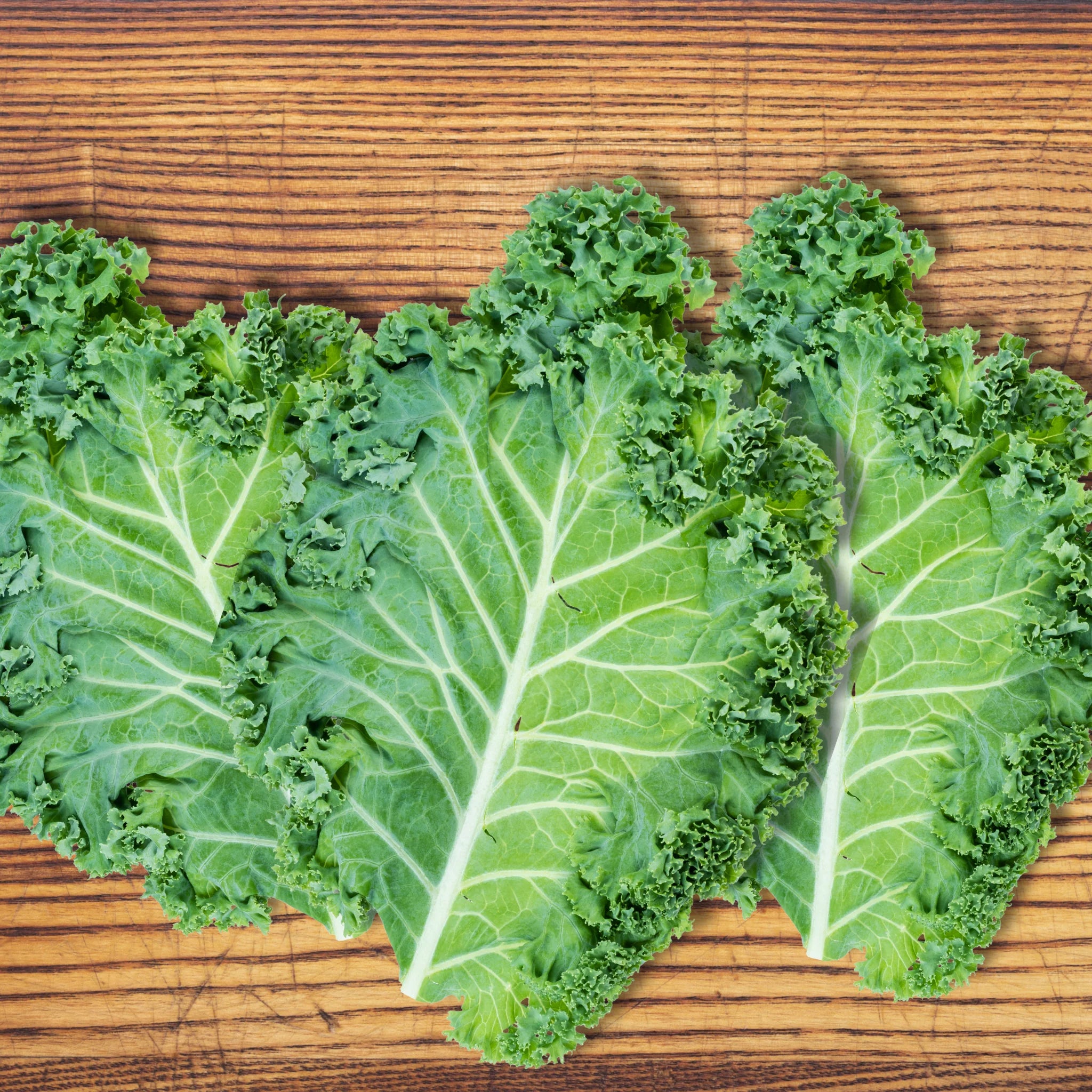 Power Greens Seed Bundle