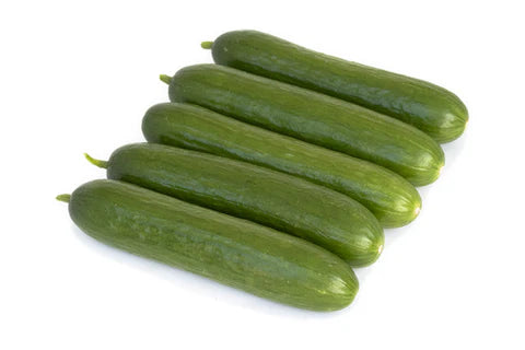 Splash Mini Cucumber Seeds