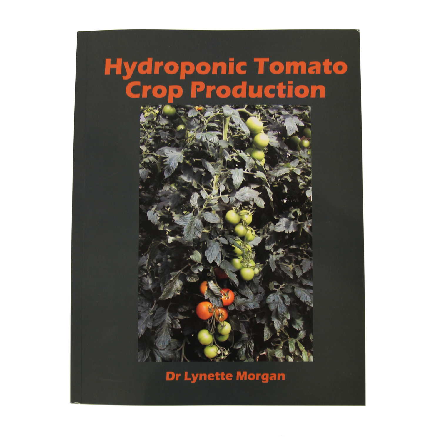 Hydroponic Tomato Crop Production