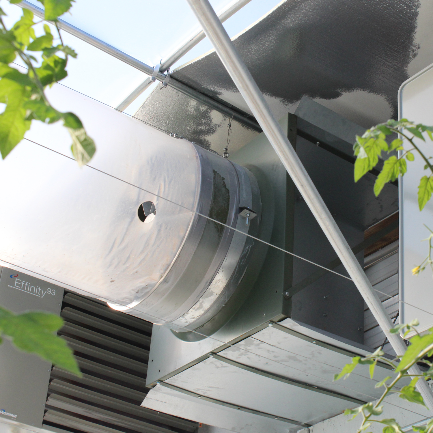 Greenhouse Cooling Systems | Fan Jet System | Greenhouse Ventilation