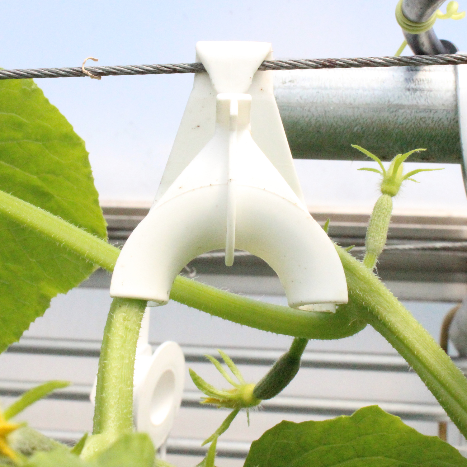 Top Hook | Plant Hanging Hook | CropKing