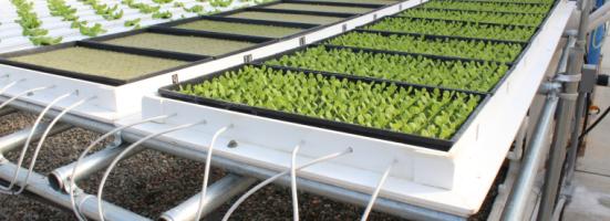 example usage of hydroponics supplies