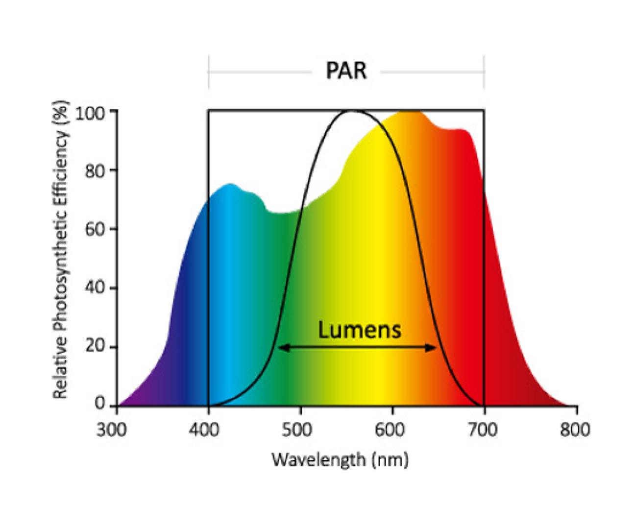 PAR/Lumen graph