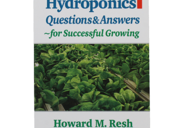 Hydroponics Q & A for Successful Growing