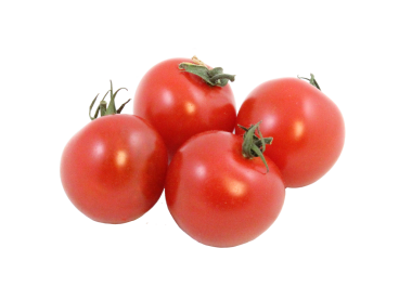 DRC-564 Greenhouse Tomato