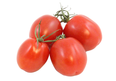 Bato Clips (with free Tomato Twine roll!) – Hort Americas