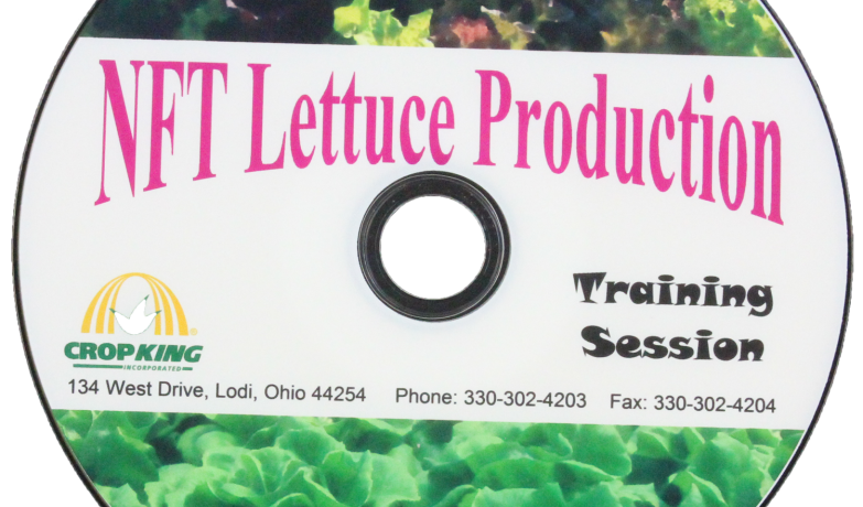 NFT Lettuce Production Training